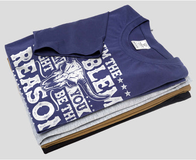 If I'm The Problem Then You Might Be The Reason TShirt, Western Shirt, Retro Concert Tee