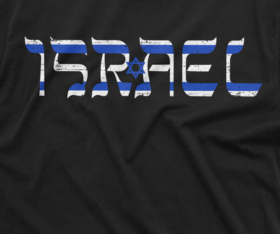 Men's Israel shirt Israeli flag coat of arms star of David Tee shirt Stand with Israel IDF army tee